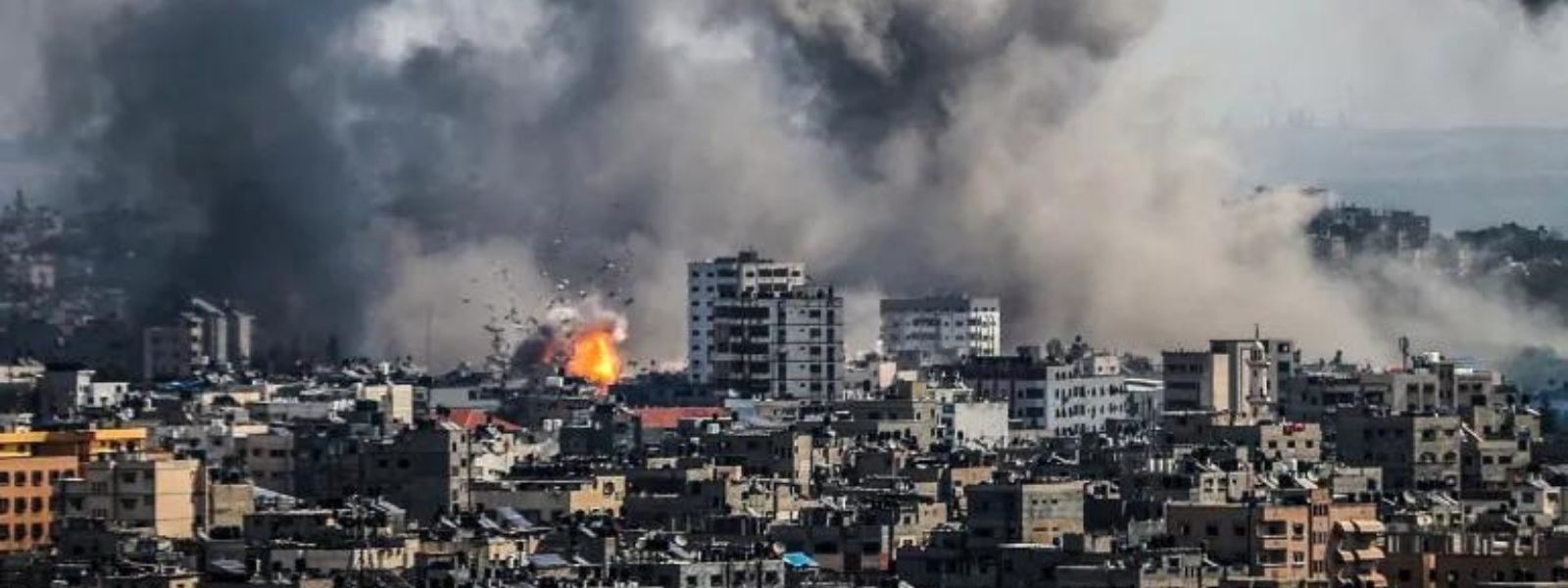 Gaza death toll crosses 10,000